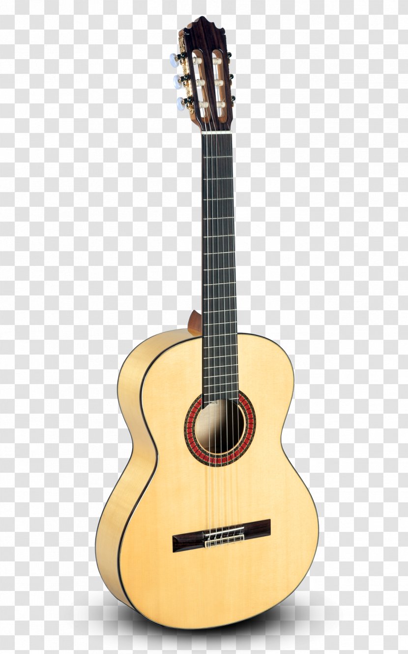 Classical Guitar Acoustic-electric Takamine Guitars Acoustic - Tree - El Castillo Transparent PNG