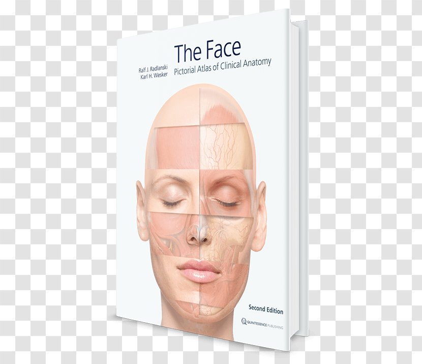 Anatomy Atlas Ilustrado De Anatomia Book グラフィックスフェイス: 臨床解剖図譜 Nose - Jaw Transparent PNG