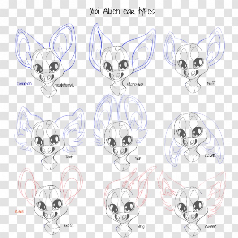 Whiskers Ear Drawing Art Sketch - Cartoon Transparent PNG