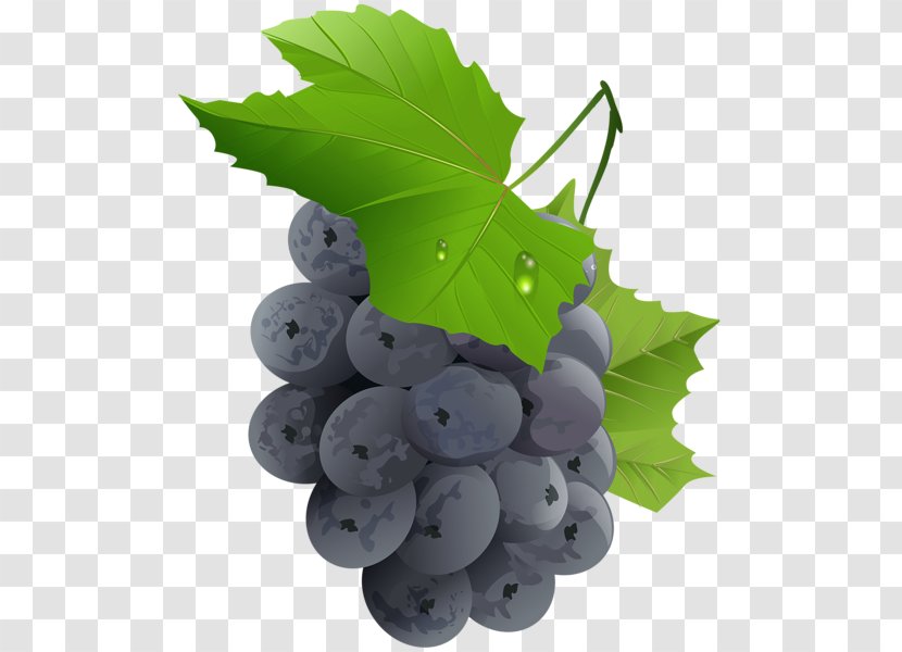 Grape Fruit Clip Art - Bilberry Transparent PNG