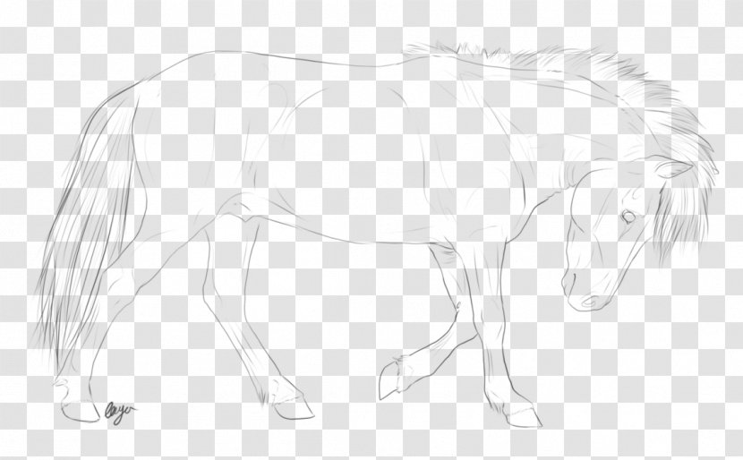 Mane Mustang Pack Animal Drawing Sketch - Flower Transparent PNG