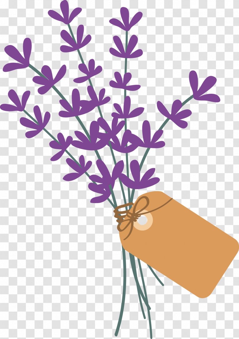 Lavender Plant Stem Violet Petal Lamiaceae - Flower Transparent PNG