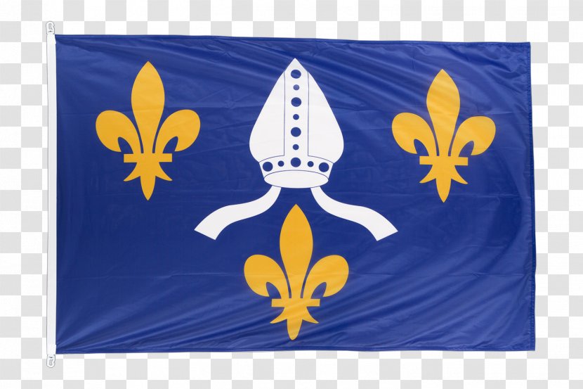 Saintonge Flag Of France Angoumois Revolt The Pitauds - Pollinator Transparent PNG