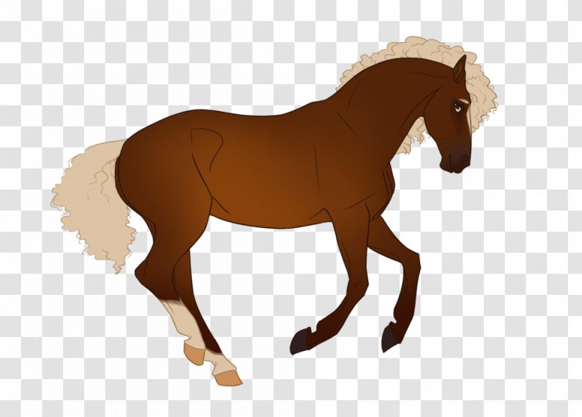 Mustang Mane Foal Mare Stallion - Halter - Discussion Starters Transparent PNG