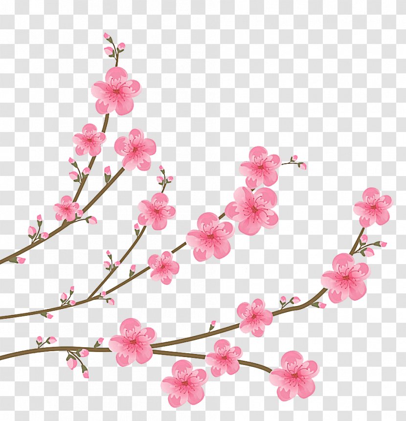 Cherry Blossom Clip Art - Branch - Plum Flower Transparent PNG