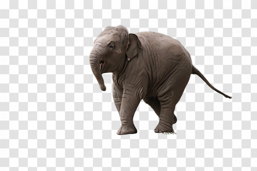 Indian Elephant - Animal Figure - Working Snout Transparent PNG