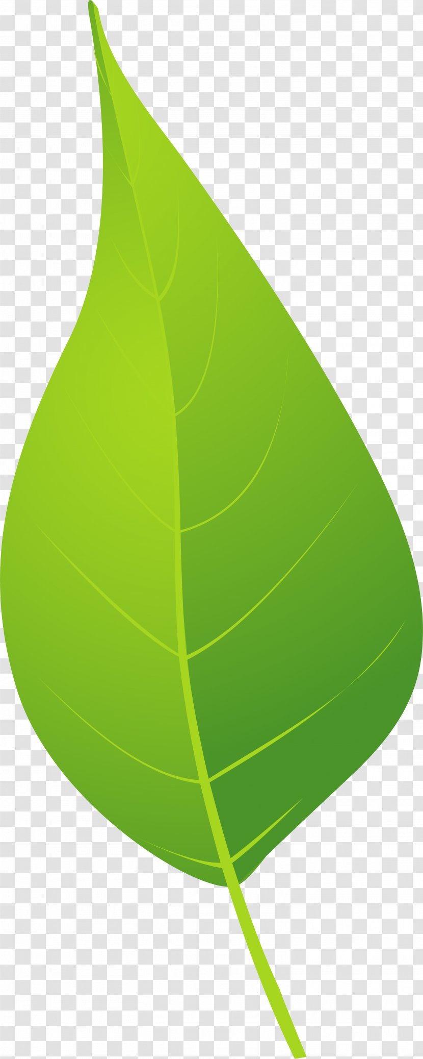 Google Images Green Brown - And Fresh Leaves Transparent PNG