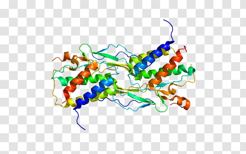 Interleukin 15 Cytokine Interleukin-2 Natural Killer Cell - Pathogenesisrelated Protein Transparent PNG