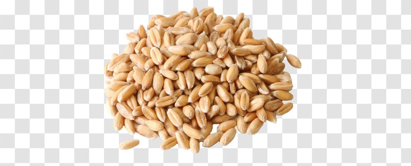 Spelt Pasta Flour Common Wheat Seed - Nuts Seeds Transparent PNG