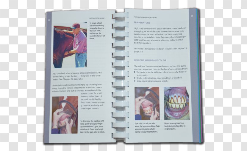 Horse Book EquiMedic USA First Aid Brochure Transparent PNG