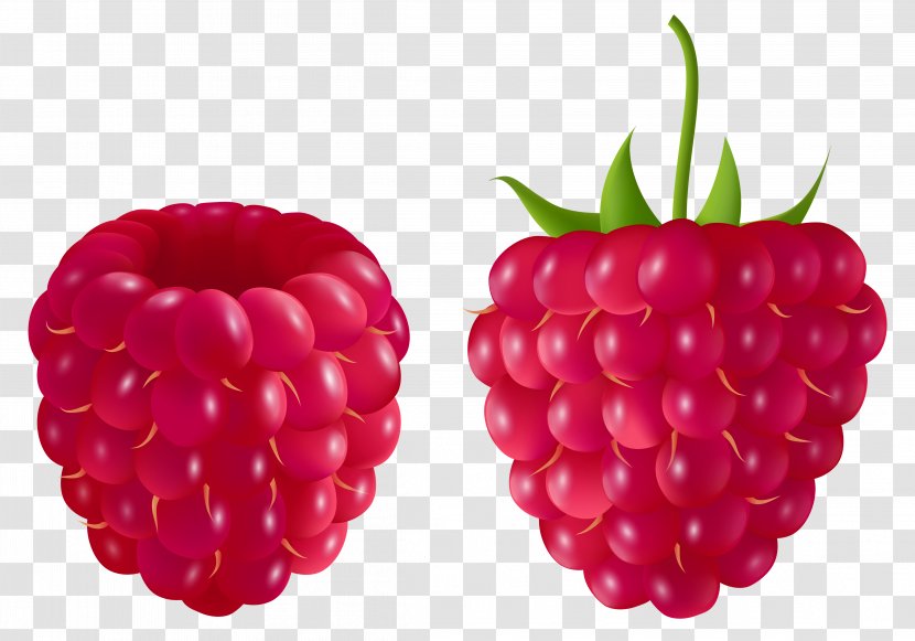 Raspberry Blackberry Clip Art - Black - Cliparts Transparent PNG