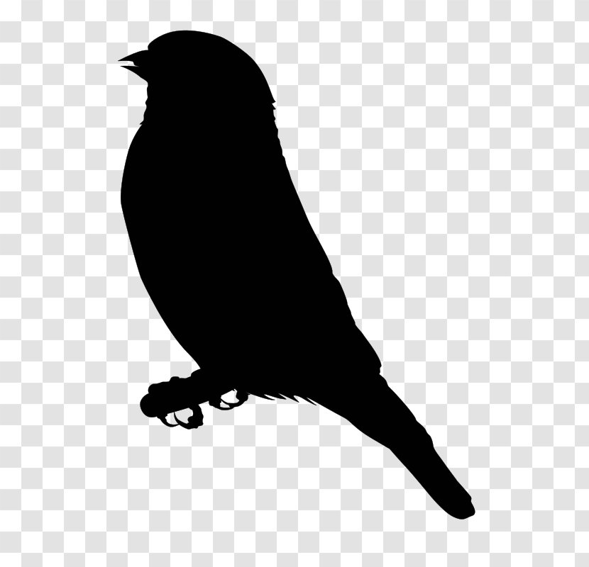Finches Download Clip Art - Monochrome Photography - Black And White Transparent PNG