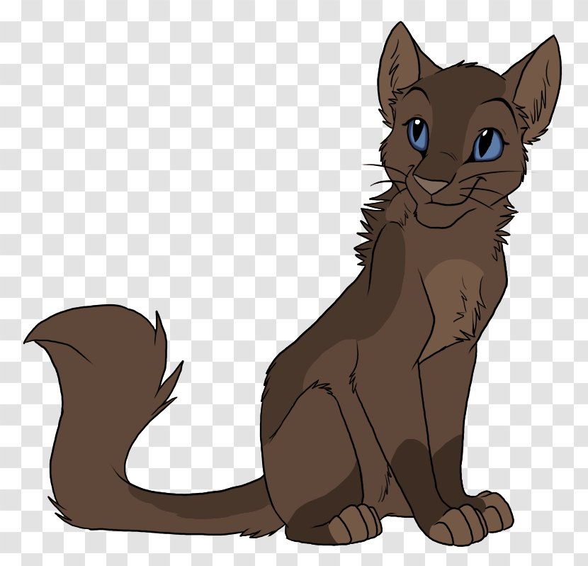 Whiskers Havana Brown Kitten Wildcat Domestic Short-haired Cat - Organism Transparent PNG