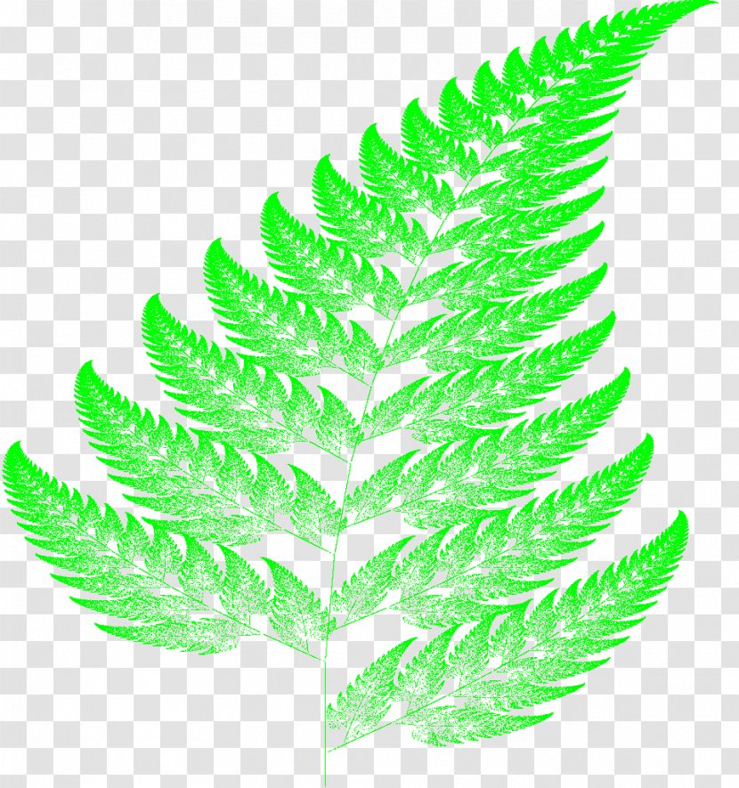 Barnsley Fern Fractal Leaf Vascular Plant - Fractalgenerating Software Transparent PNG