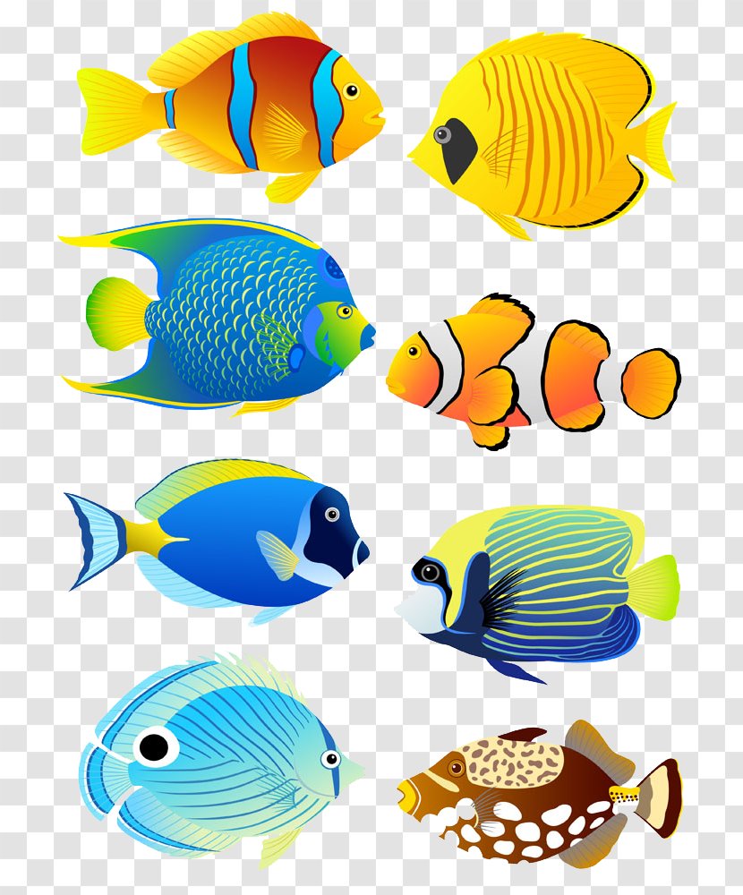 Tropical Fish Angelfish Aquarium Clip Art - Illustration - Six Cartoon Transparent PNG