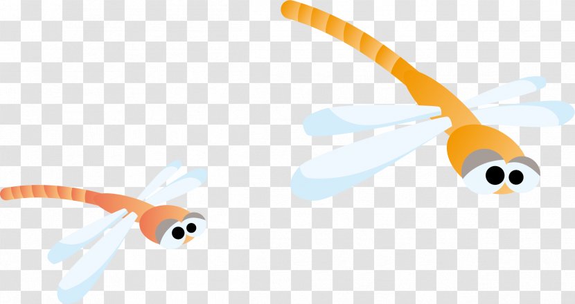 Cartoon Dragonfly - Wing Transparent PNG