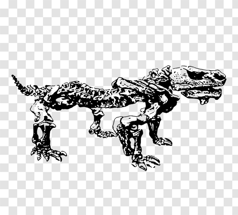 Tyrannosaurus Dinosaur Paleontology Clip Art - Royaltyfree - Skeleton Transparent PNG