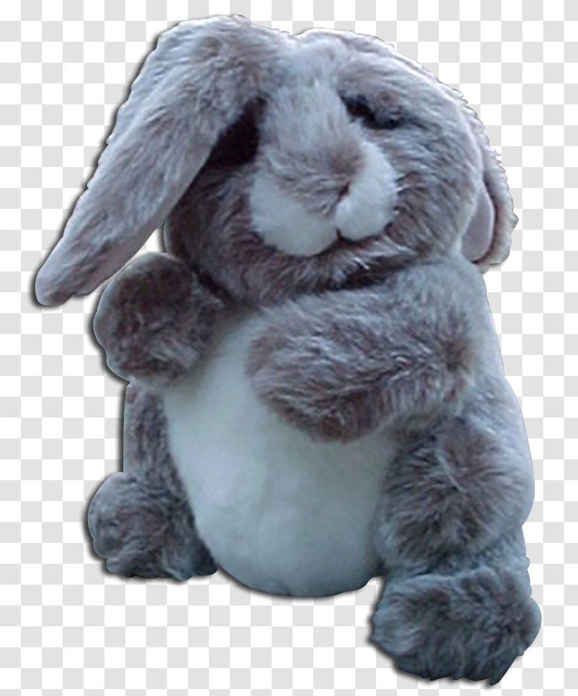 Domestic Rabbit Stuffed Animals & Cuddly Toys Easter Bunny Holland Lop - Puppet Transparent PNG