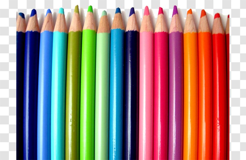 Understanding Color Colored Pencil Bic - Pencils Transparent PNG