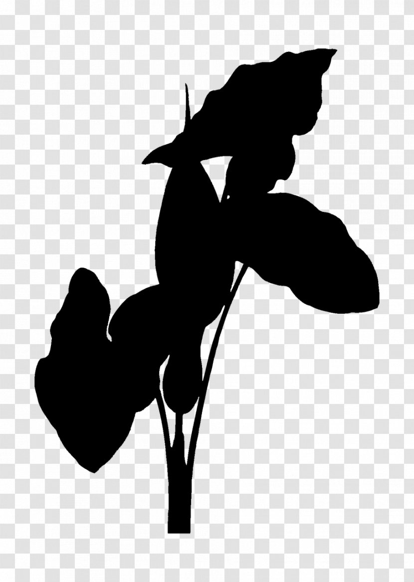 Horse Clip Art Silhouette H&M Flowering Plant - Plants Transparent PNG