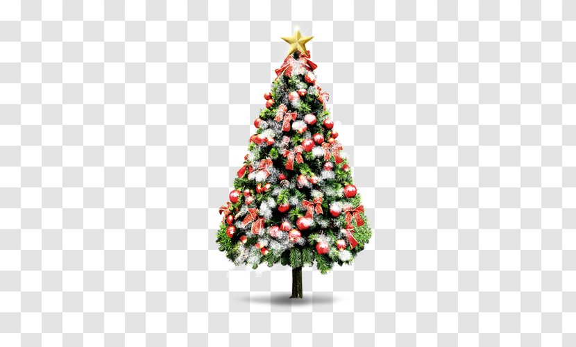 Santa Claus Christmas Decoration Ornament Gift - Conifer - Cartoon Tree Transparent PNG