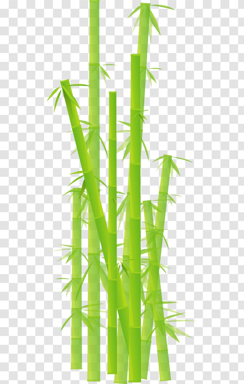 Bamboo Clip Art - Website - Cliparts Transparent PNG