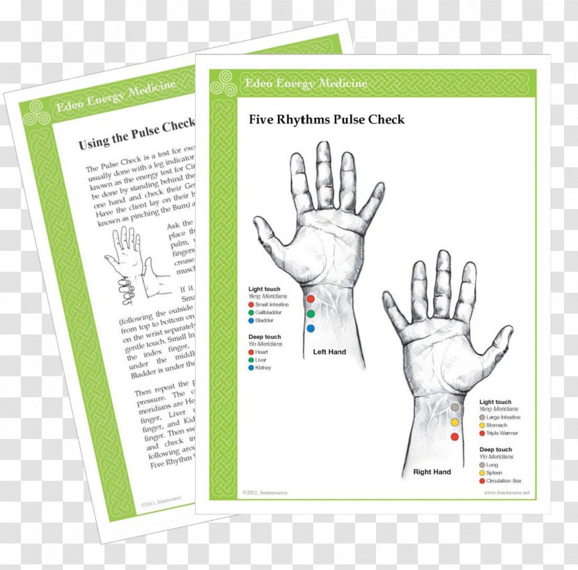 Energy Medicine Meridian Alternative Health Services - Joint - Chart Material Transparent PNG