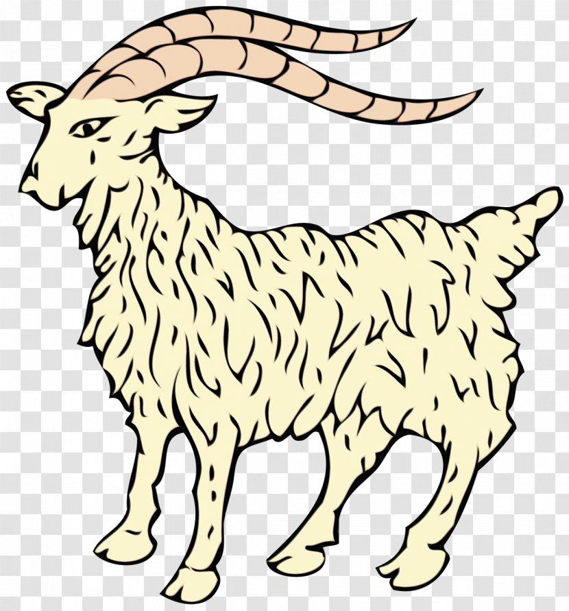 Istriana Goat Bagot Russian White - Istria - Animal Figure Transparent PNG
