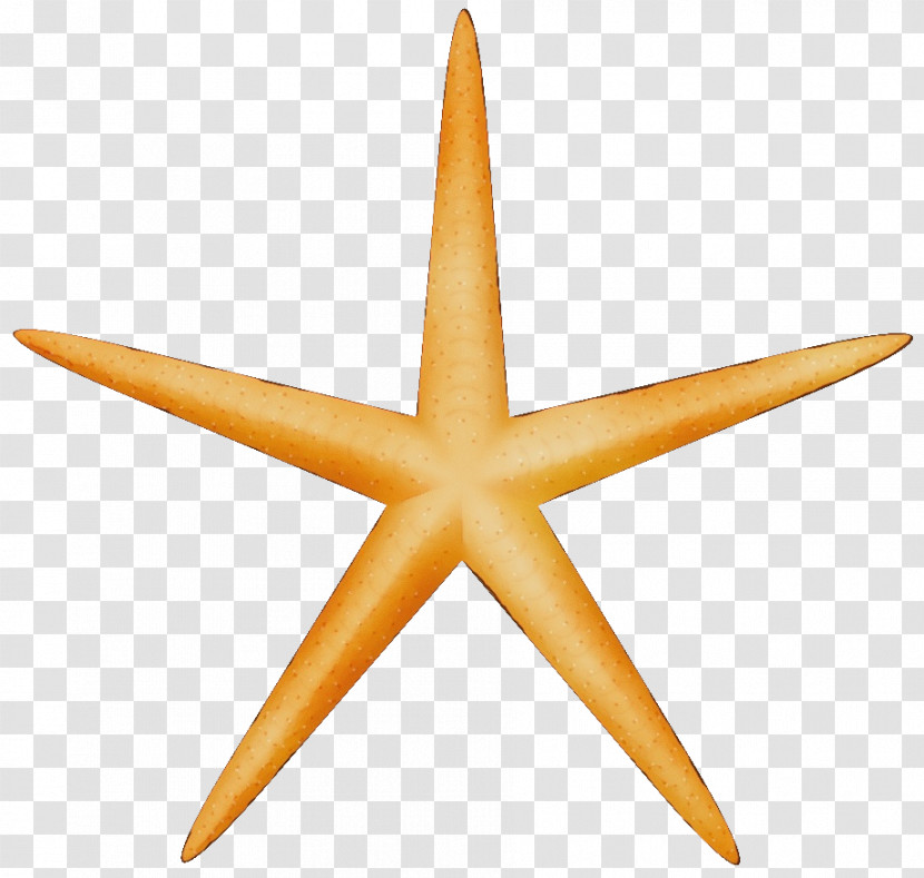 Sticker Starfish Icon Pictogram Transparent PNG