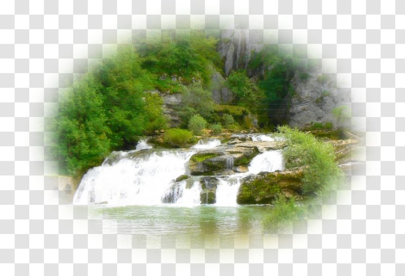 Nature Reserve Water Resources Waterfall Vegetation Lawn - Grass - Waterfalls Transparent PNG