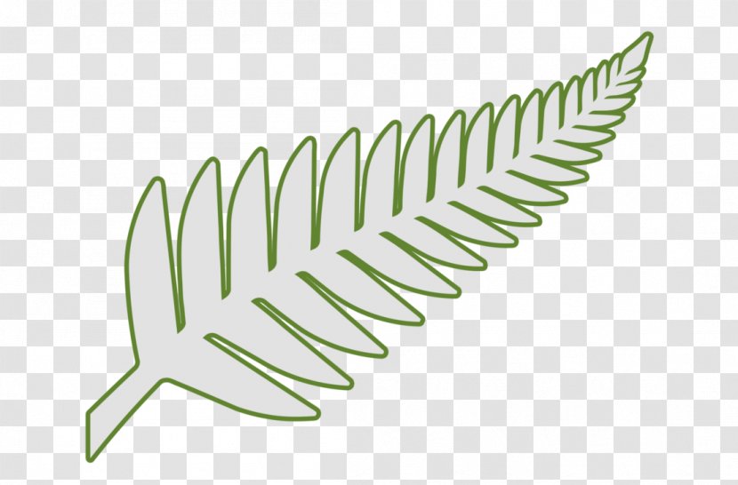 New Zealand Leaf Silver Fern Plant Transparent PNG