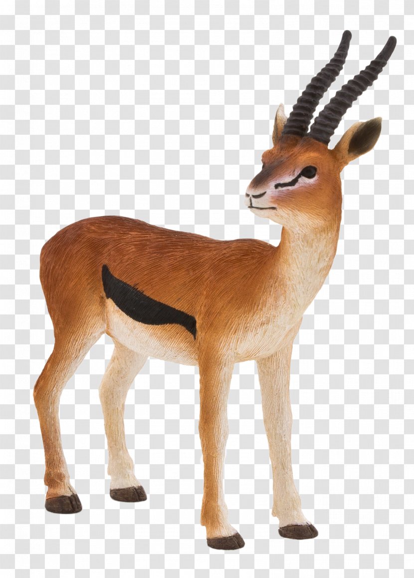 Thomson's Gazelle Antelope Amazon.com Lynx - Action Toy Figures Transparent PNG