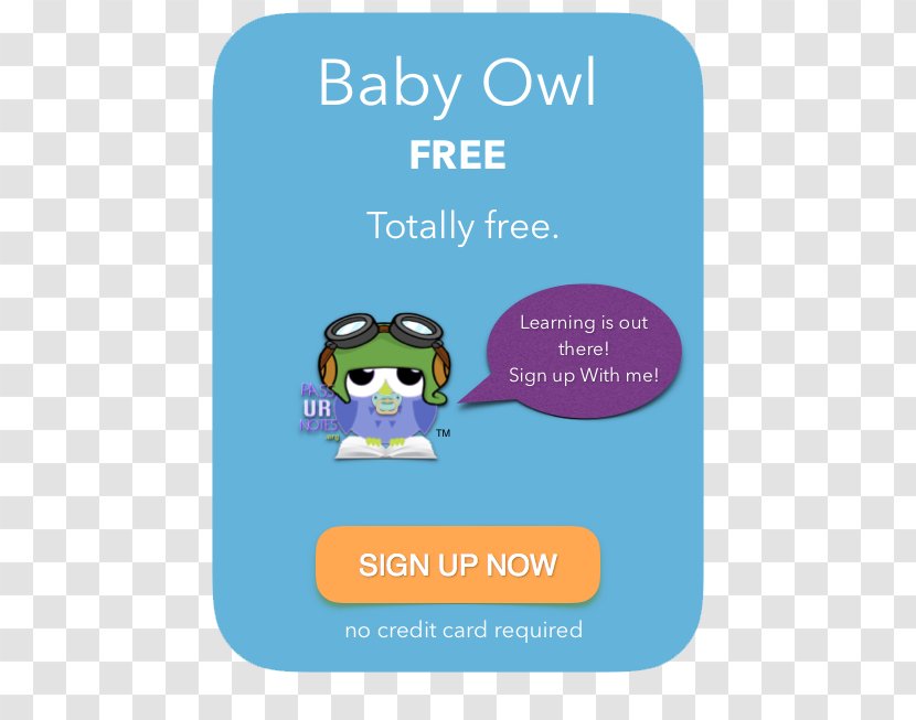 Logo Brand United States Dollar Font - Baby Owl Transparent PNG