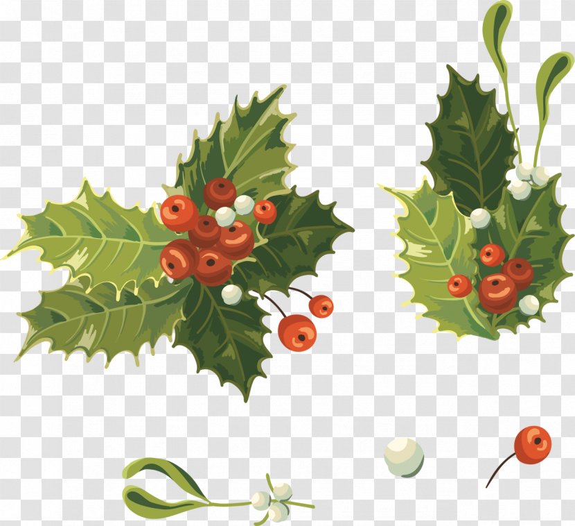 Vector Graphics Royalty-free Clip Art Illustration Stock Photography - Plant - Christmas Day Transparent PNG