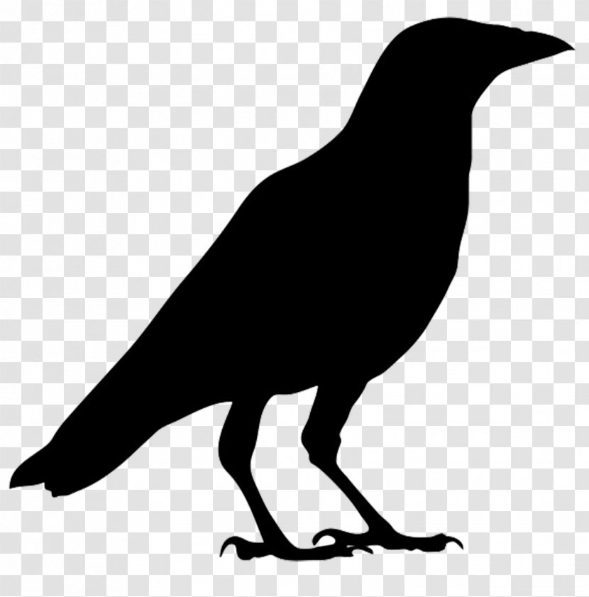American Crow Common Raven Bird Carrion Clip Art - Royaltyfree - Flying Transparent PNG