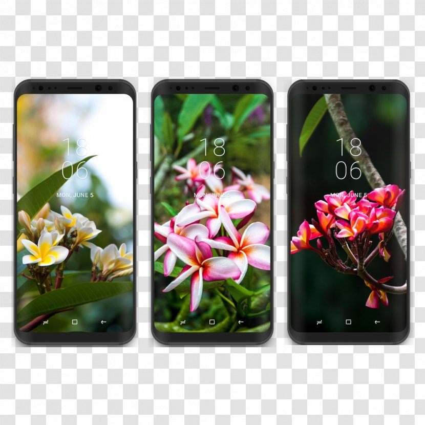 Samsung Galaxy S8+ Desktop Wallpaper - Electronic Device - Tropical Transparent PNG