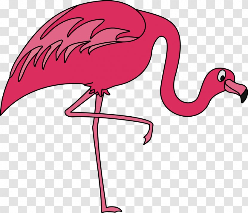 Flamingo Clip Art - Organism - Flamingos Transparent PNG