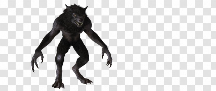 Bigfoot Werewolf Michigan Dogman Gray Wolf - Mothman Transparent PNG