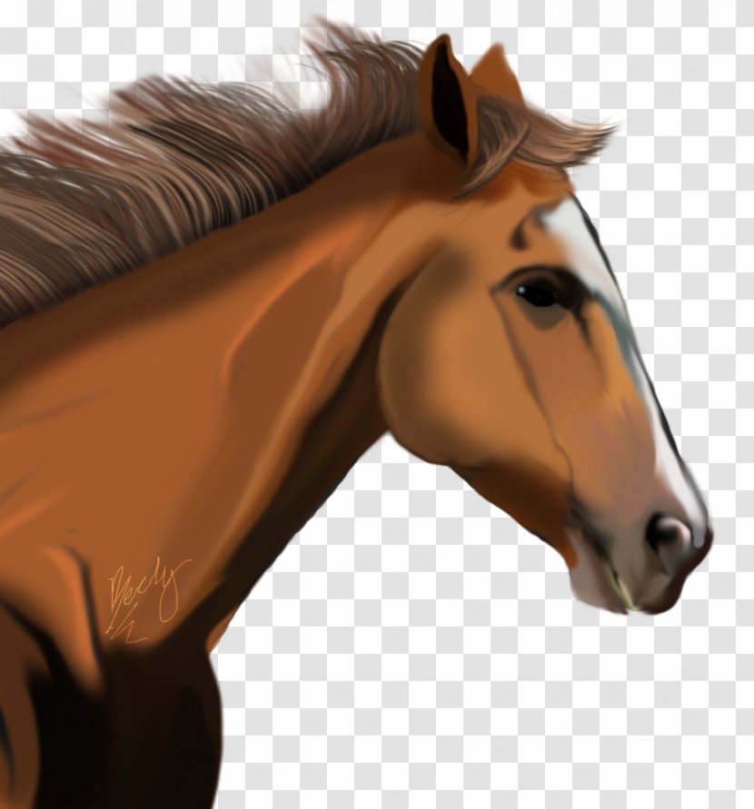 American Miniature Horse Clip Art - Like Mammal - Image Transparent PNG