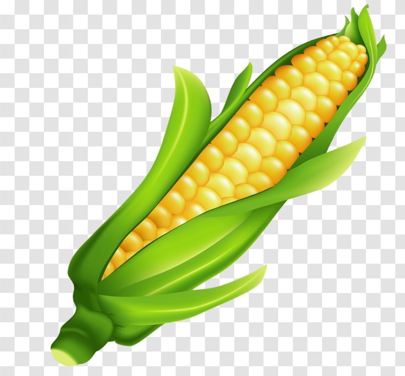Corn On The Cob Fruit Clip Art - Vegetable - Leaves Transparent PNG