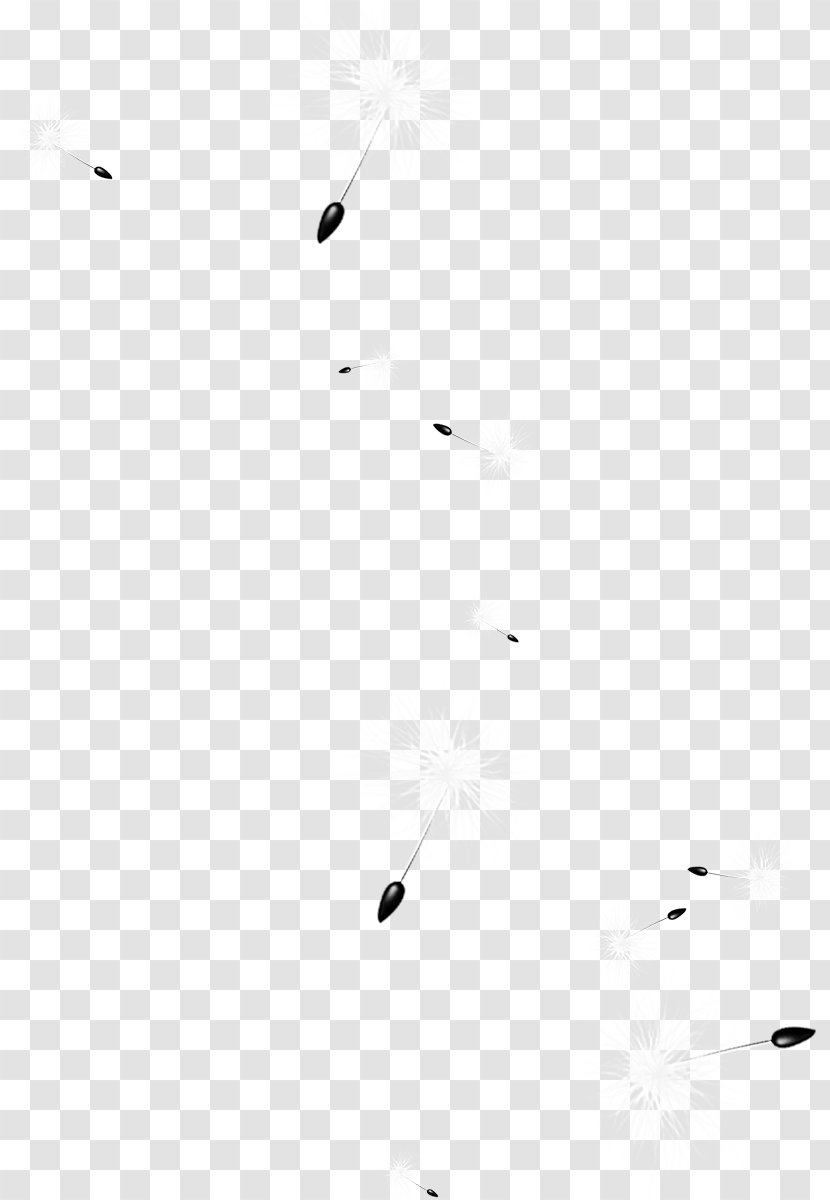 White Black Pattern - Dandelion Material Map Transparent PNG