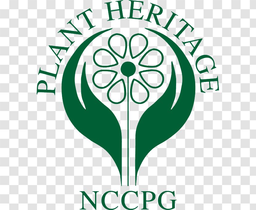 National Council For The Conservation Of Plants And Gardens NCCPG Plant Collection Botany - Line Art Transparent PNG