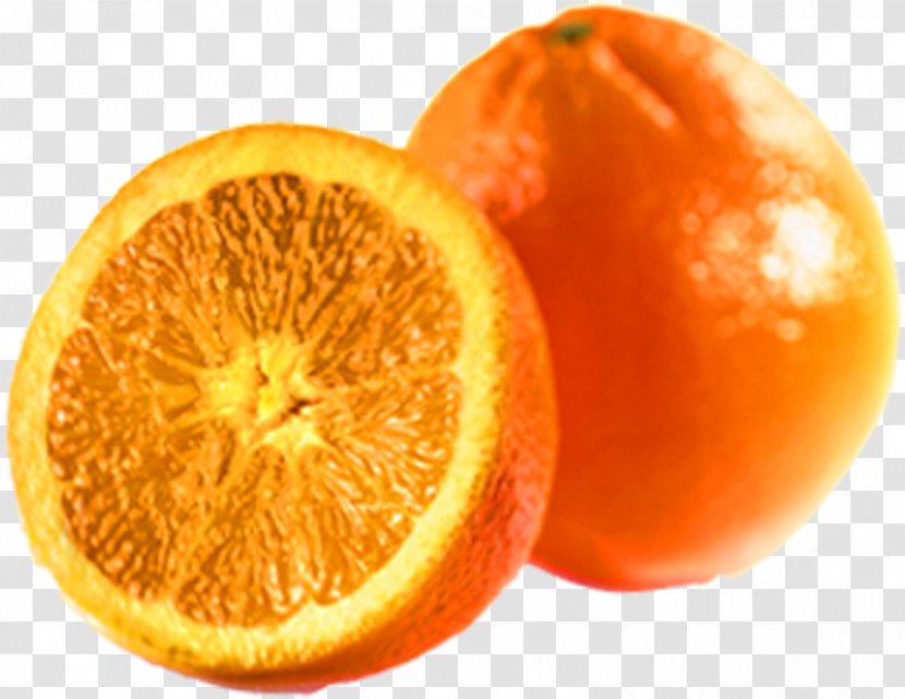 Blood Orange Mandarin Tangelo Clementine Pomelo - Fruit Transparent PNG