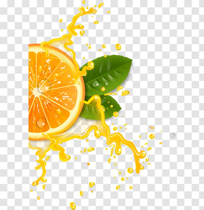 Orange Juice Cocktail Lemonade - Drink - Lemon Transparent PNG