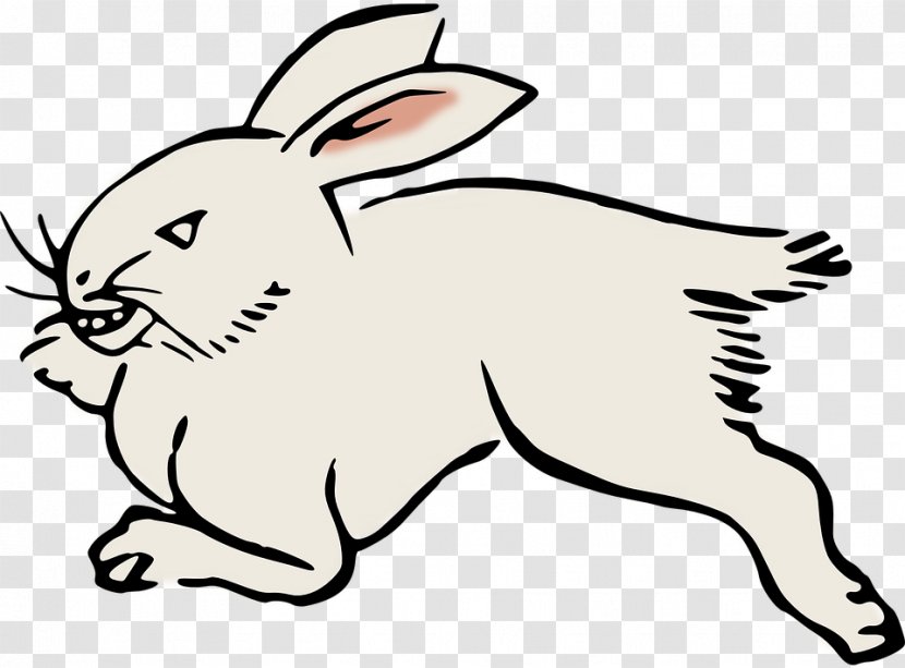 Domestic Rabbit Hare Clip Art - Mammal - Long Running Animal World Transparent PNG
