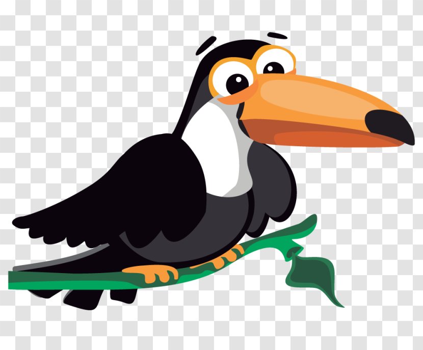 Cartoon Clip Art - Beak - Toucan Cliparts Transparent PNG