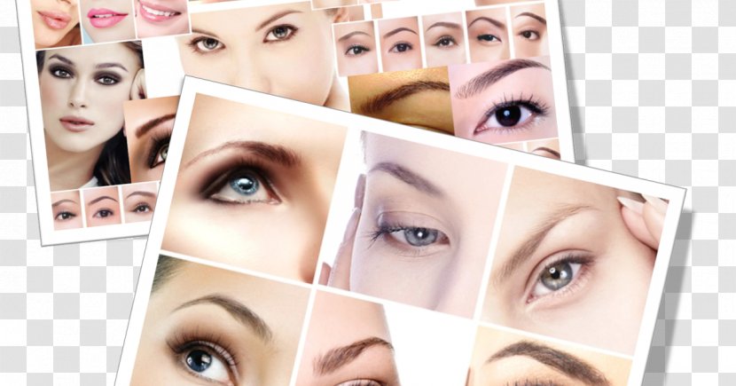 Eyelash Extensions Eyebrow Eye Shadow Liner Forehead - Tree - Eklaj Avya Manva Transparent PNG