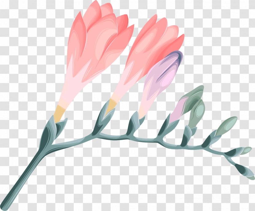 Design Petal Vector Graphics Download - Flowers Cartoon Hand Painted Transparent PNG