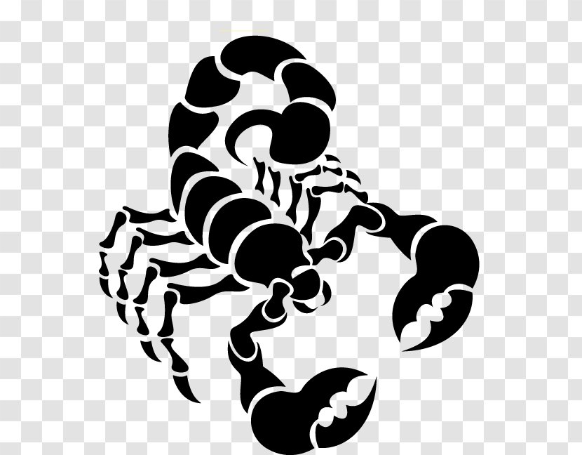 Scorpion Euclidean Vector Clip Art - Invertebrate - Scorpions Transparent PNG