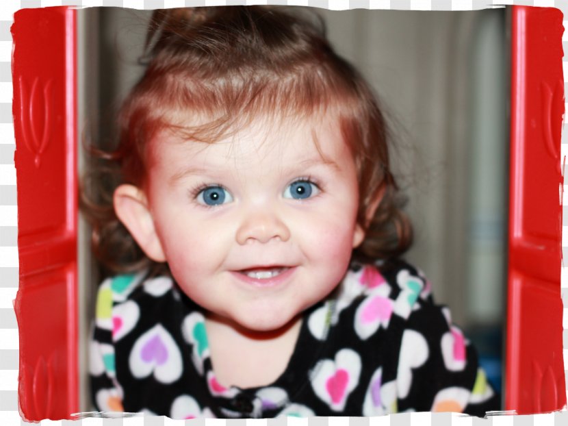 Toddler Portrait Photography Infant - Tree - Karoke Transparent PNG